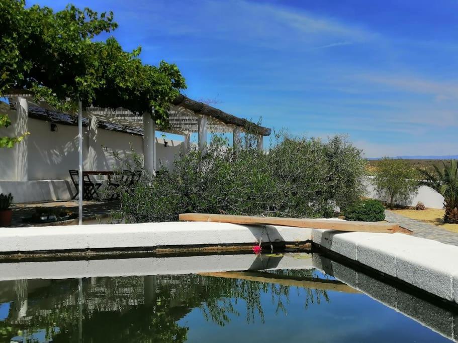 Casa Jardin. Vivienda Rural En Zona Tranquila. Villa Lucainena de las Torres Exterior photo