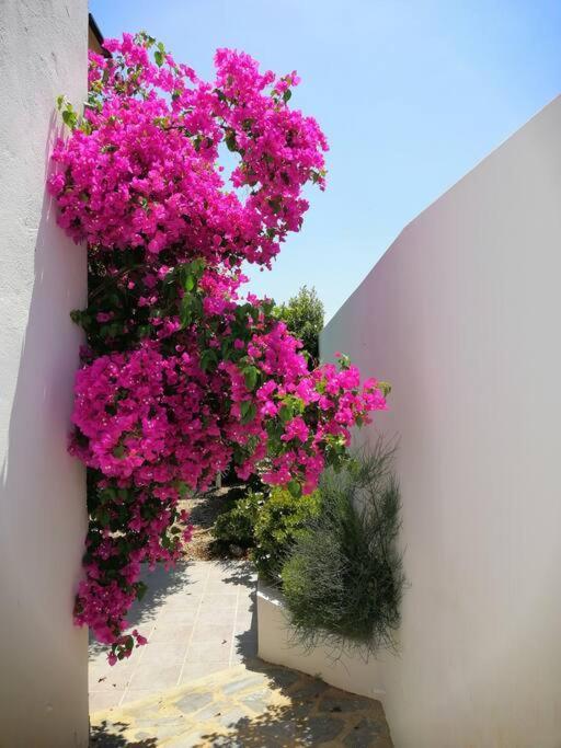 Casa Jardin. Vivienda Rural En Zona Tranquila. Villa Lucainena de las Torres Exterior photo