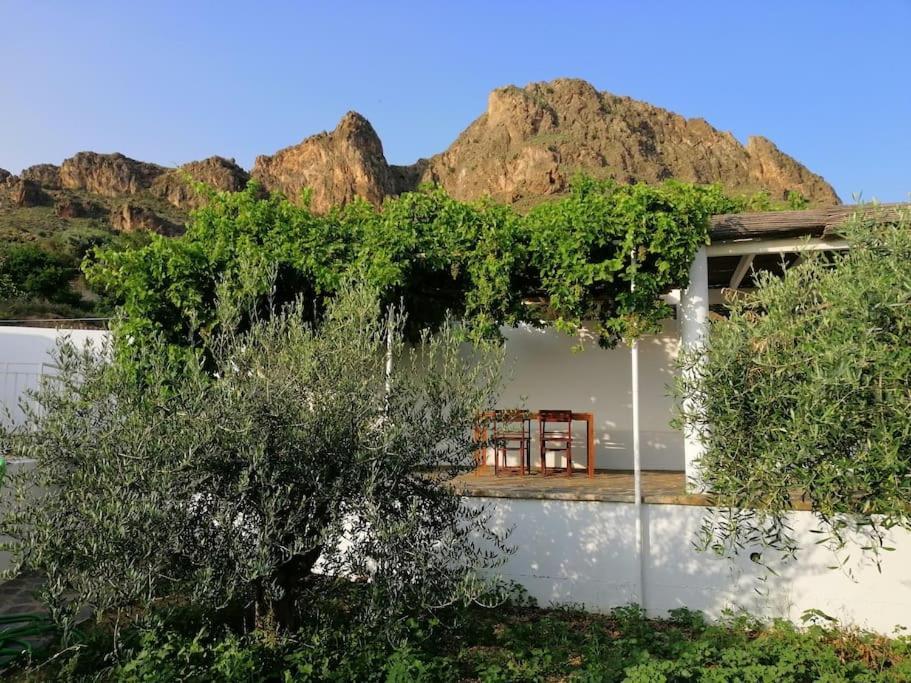 Casa Jardin. Vivienda Rural En Zona Tranquila. Villa Lucainena de las Torres Exterior photo